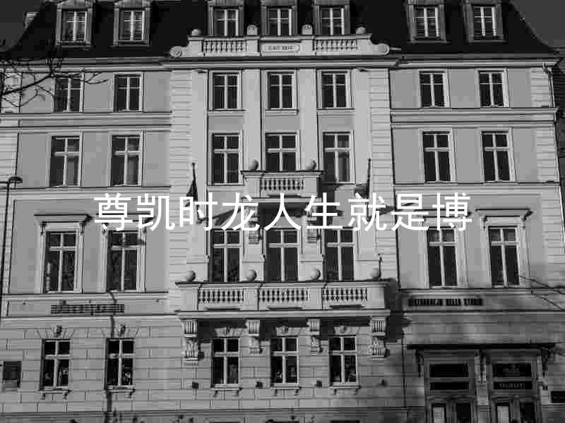 尊凯时龙人生就是博