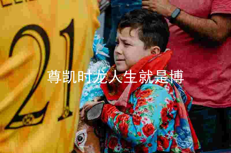 尊凯时龙人生就是博