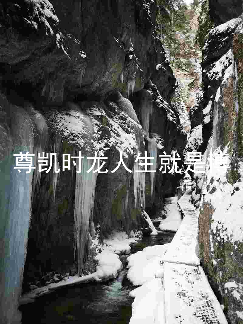 尊凯时龙人生就是博