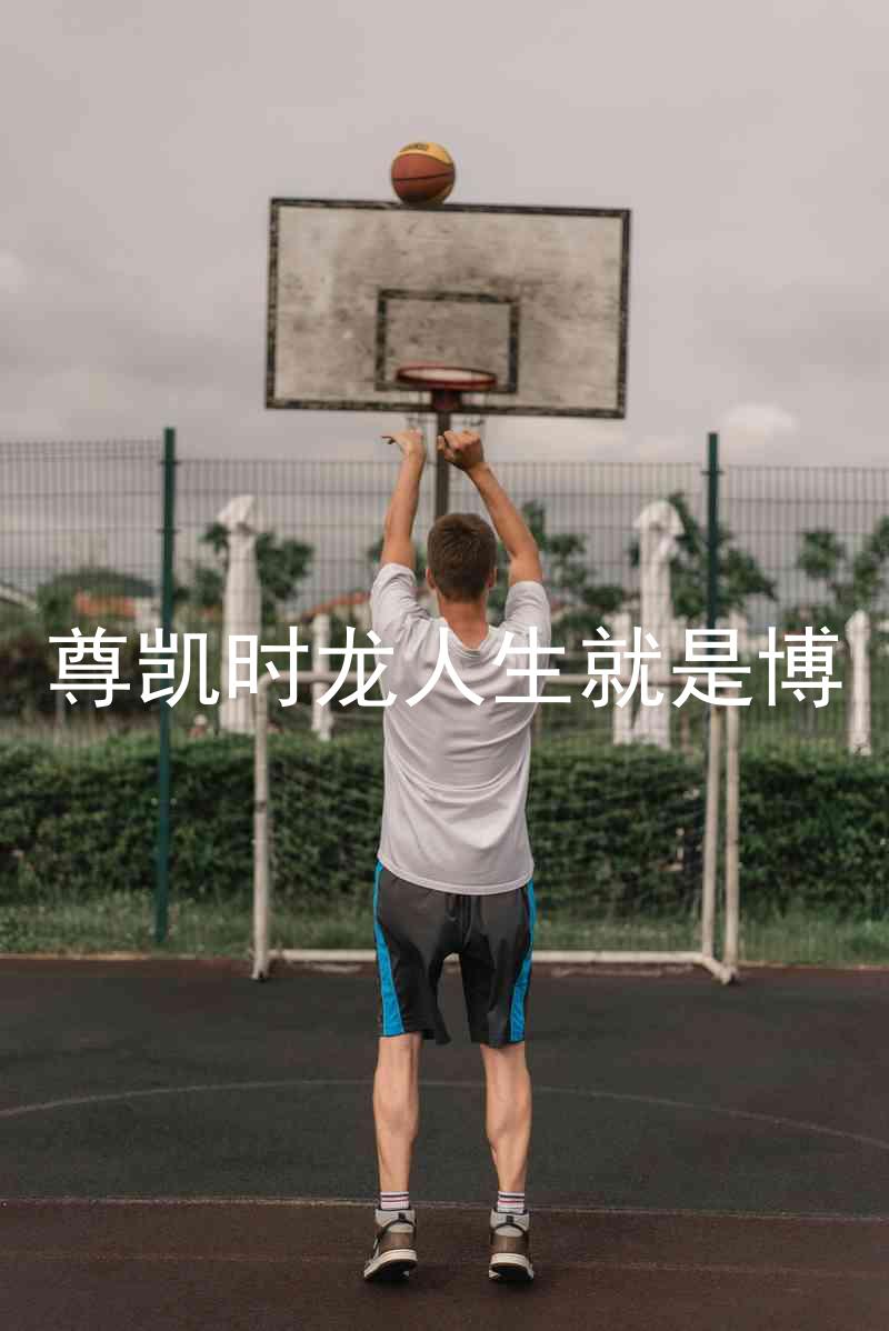 尊凯时龙人生就是博