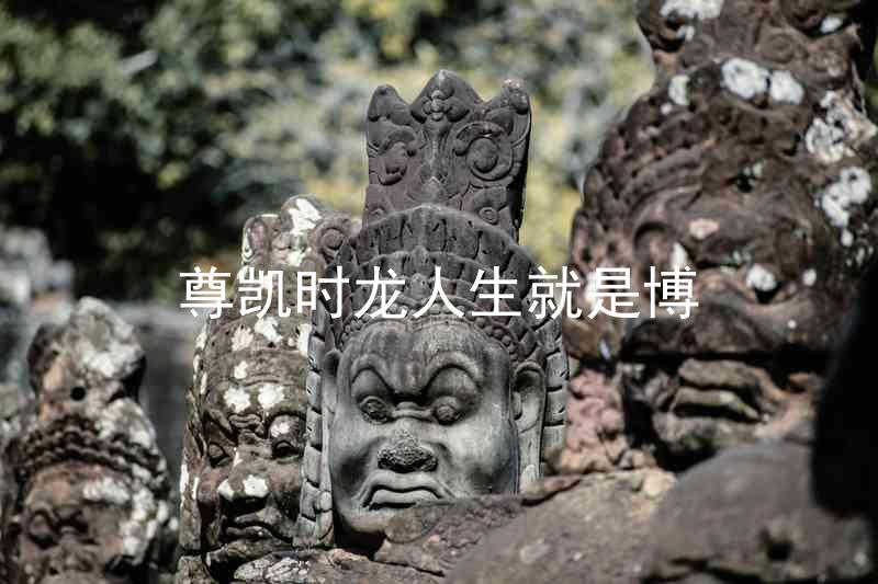 尊凯时龙人生就是博