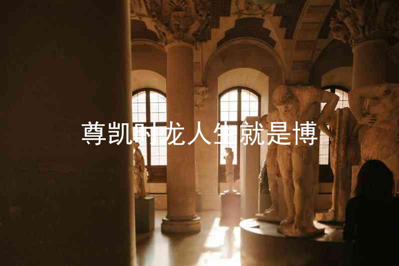 尊凯时龙人生就是博
