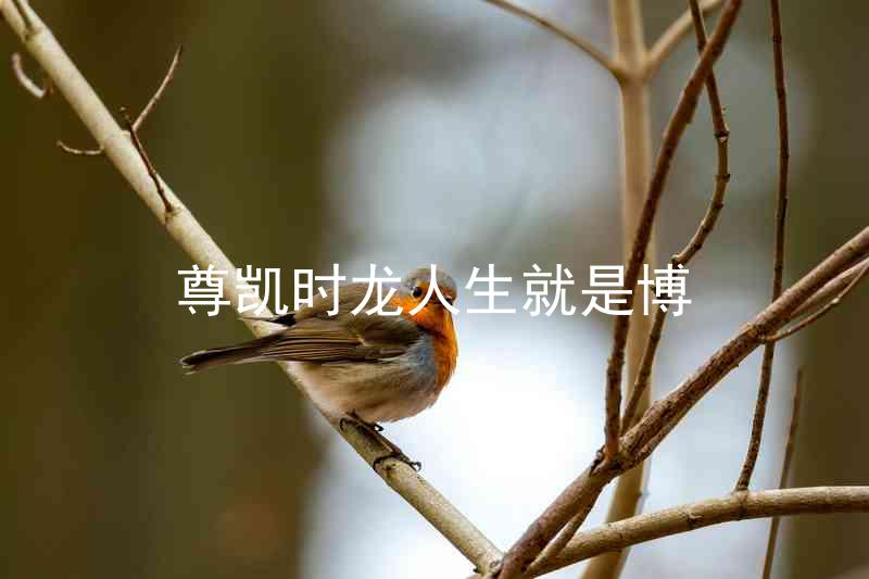 尊凯时龙人生就是博