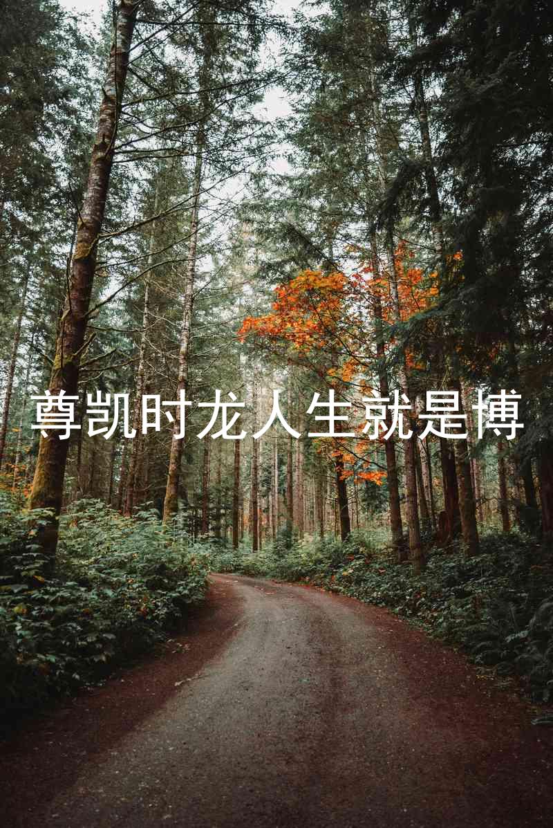 尊凯时龙人生就是博