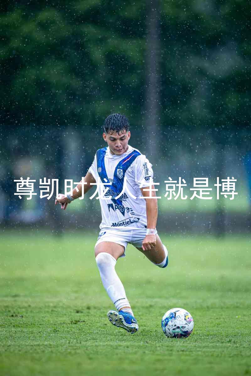 尊凯时龙人生就是博