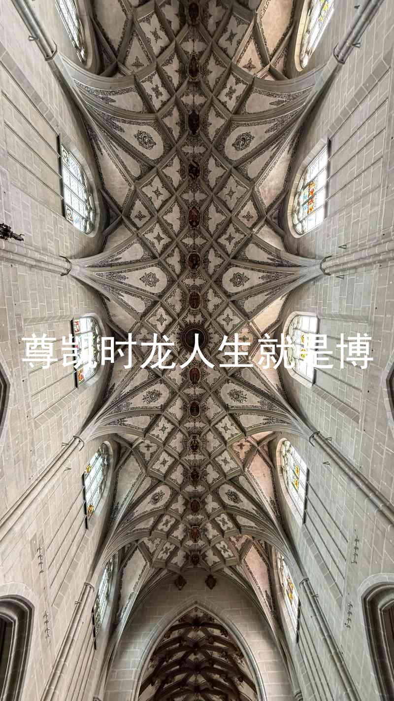 尊凯时龙人生就是博
