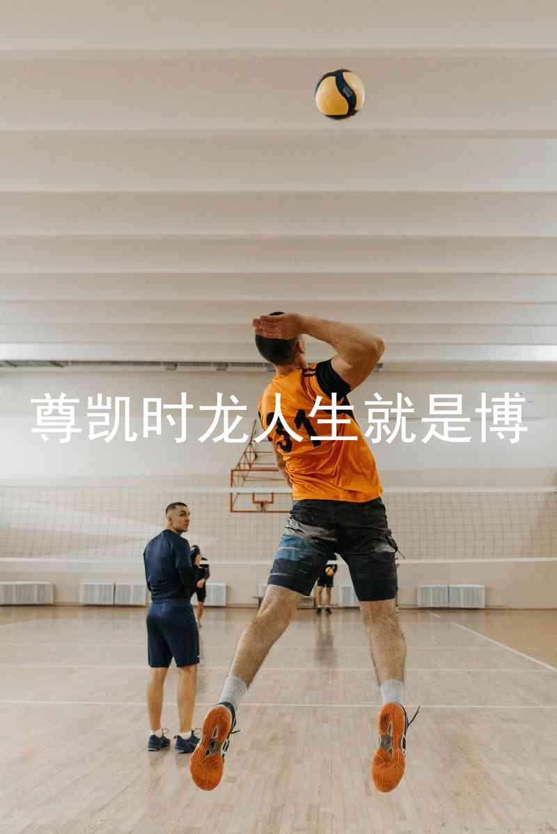 尊凯时龙人生就是博